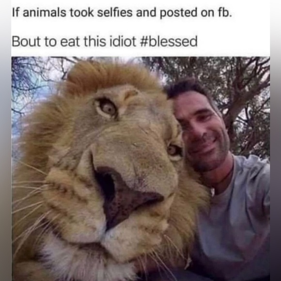 Just because 😁 - Picture 10 of 10